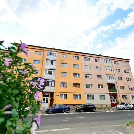 Flh - Apartament Damar Sibiu Ngoại thất bức ảnh