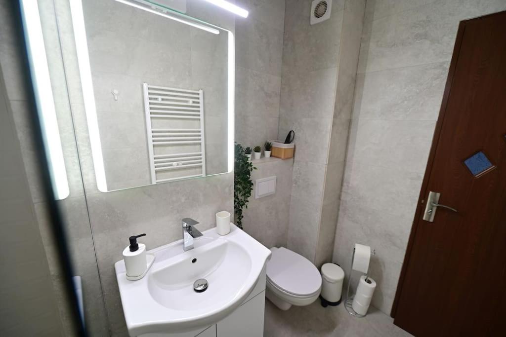 Flh - Apartament Damar Sibiu Ngoại thất bức ảnh