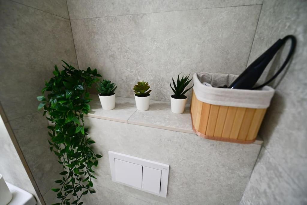 Flh - Apartament Damar Sibiu Ngoại thất bức ảnh