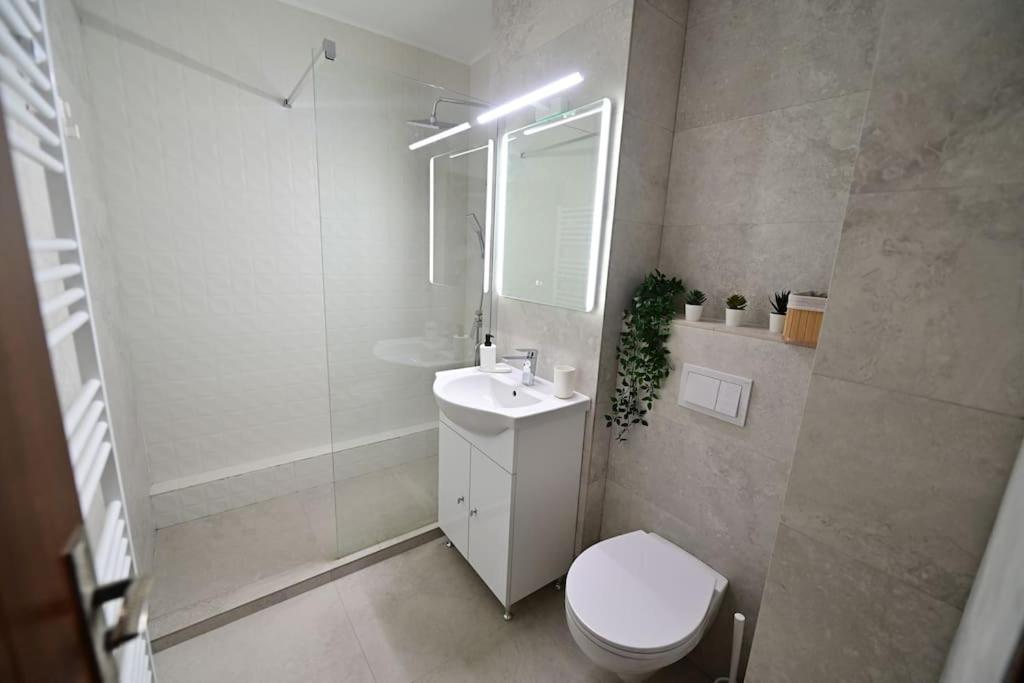Flh - Apartament Damar Sibiu Ngoại thất bức ảnh