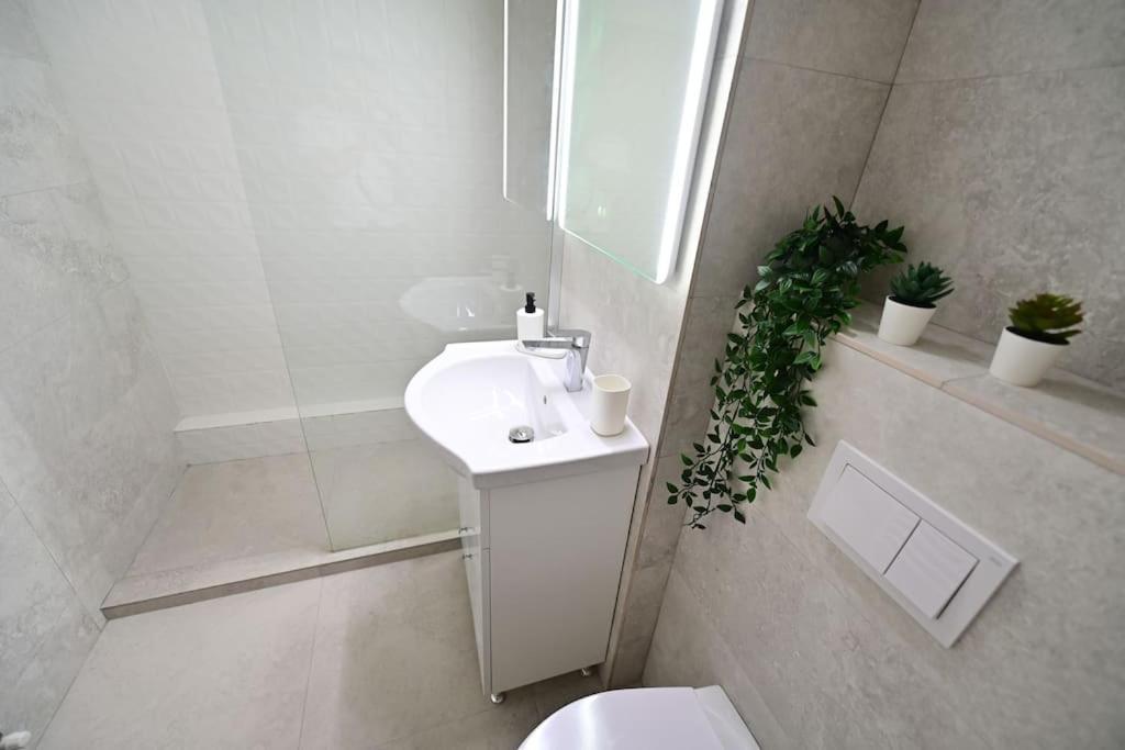 Flh - Apartament Damar Sibiu Ngoại thất bức ảnh